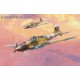 Il-2M Stormovik - 1/72 kit