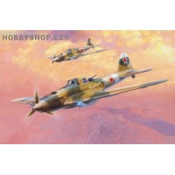 Il-2M Stormovik - 1/72 kit