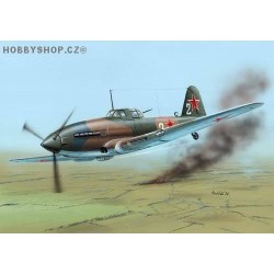 Il-10 Last WWII days - 1/48 kit