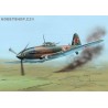 Il-10 'Last WWII days' - 1/48 kit