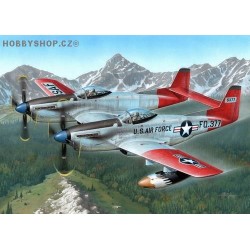 F-82H Alaskan All-Weather Fighter - 1/72 kit