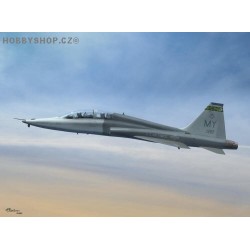 T-38C Talon 'Pacer Classic Program' - 1/72 kit