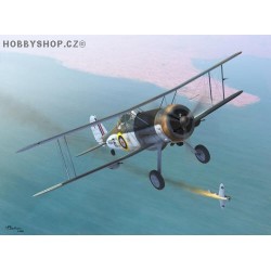 Gloster Sea Gladiator - 1/72 kit