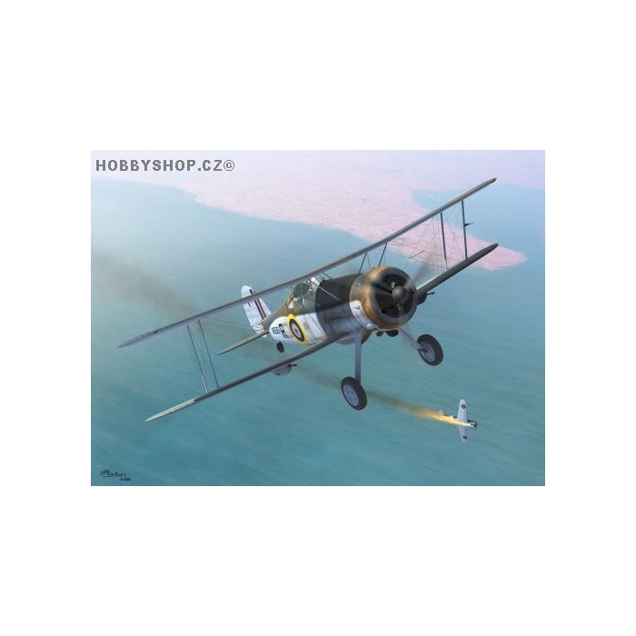 Gloster Sea Gladiator - 1/72 kit