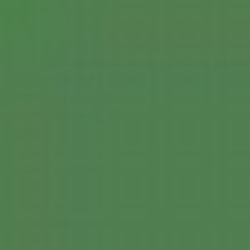 Green 06M Enamel Paint
