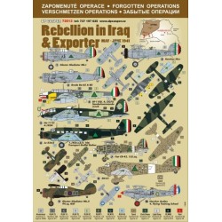 Rebellion in Iraq & Exporter - 1/72 decal