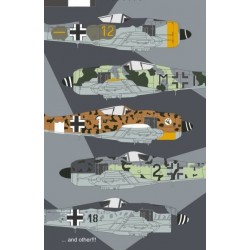 Fw 190F-8 Uknown Scheme & Markings - 1/48 decal