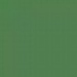Green 19L Enamel Paint