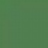 Green 19L
