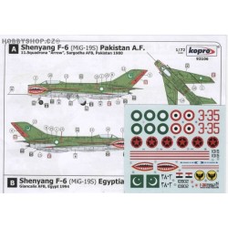 Shenyang F-6 (Chinese MiG-19) - 1/72 decal