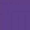 Violet 50M