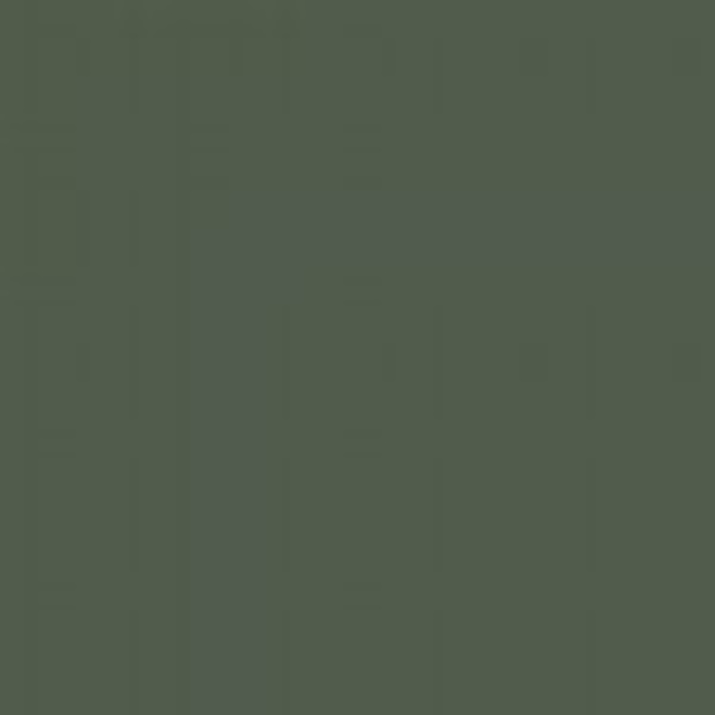 Olive Drab 41 Enamel Paint