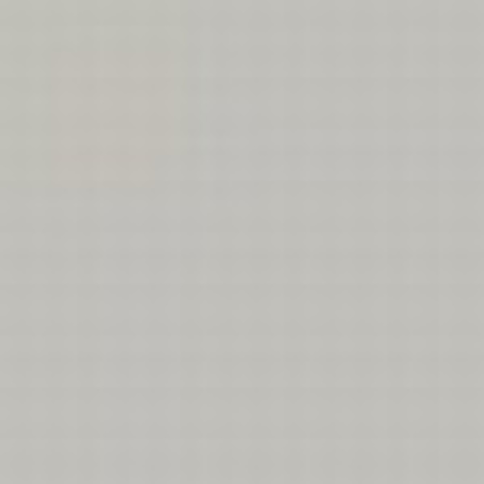 Grey FS 36622