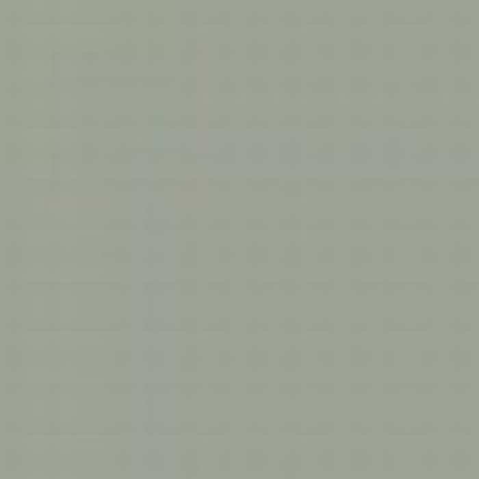 Light Gull Grey FS 36440