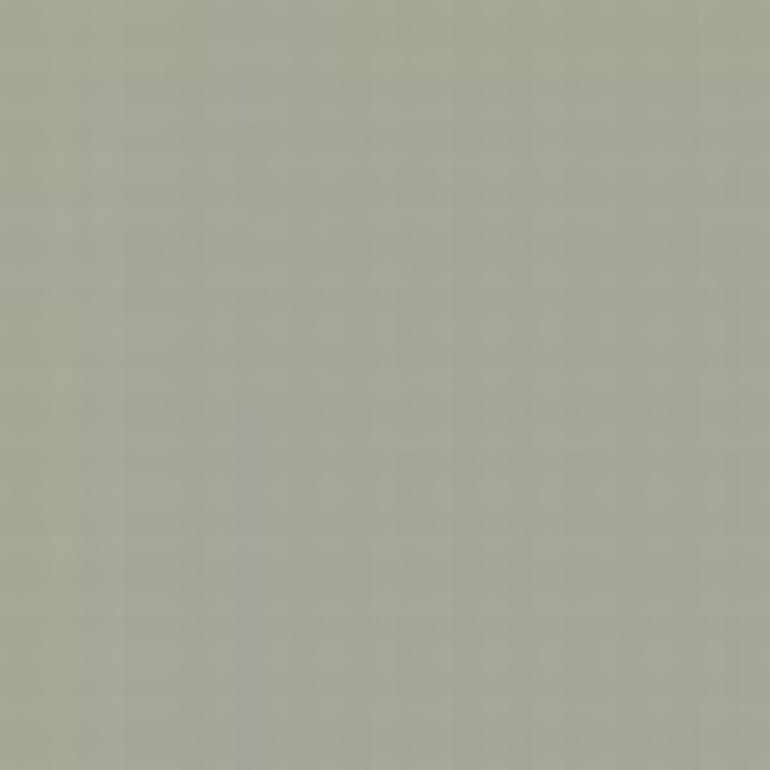 Light Gull Grey FS 26440