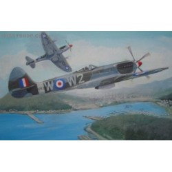 Supermarine Spitfire Mk.24 - 1/72 kit