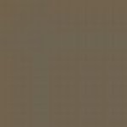 Brown Enamel Paint