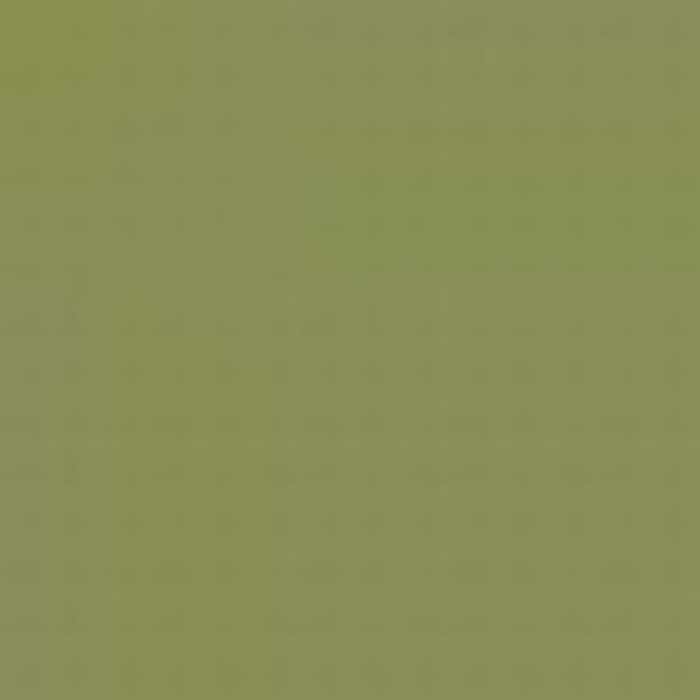 Brown Green CSN 2250