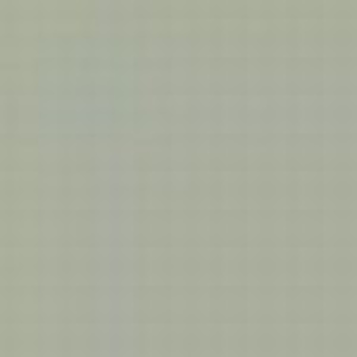Pastel Grey CSN 1010