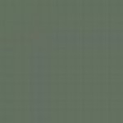 Interior Grey CSN 1111 Enamel Paint