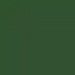 Dark Green Enamel Paint