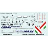 Boeing 737-300 Malev - 1/144 decal