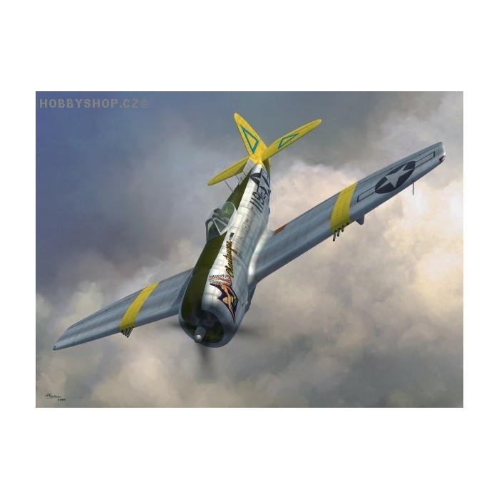 P-47N Thunderbolt - 1/72 kit