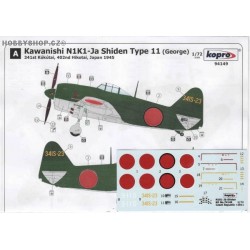 N1K1-Ja Shiden Type 11 - 1/72 decal