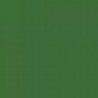 Medium Green CSN 5300