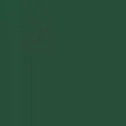 Dark Green CSN 5400 Enamel Paint