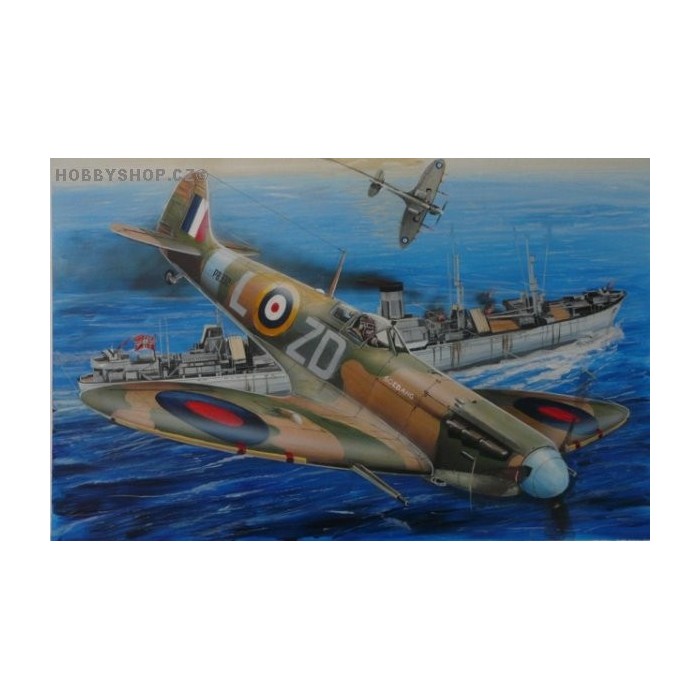 Supermarine Spitfire Mk.IIB w/PE - 1/72 kit