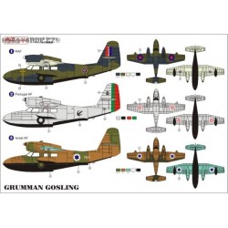 Grumman Gosling Mk.I - 1/48 decal