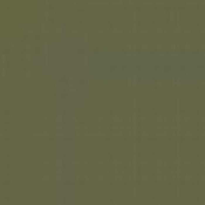 Dark Green / Vert Fonce