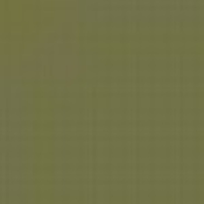 Light Green / Vert Clair