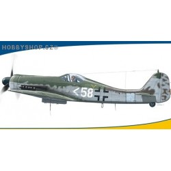 Fw 190D-11 Weekend - 1/48 kit