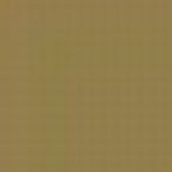 Brown N 17 Enamel Paint