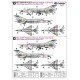 MiG-21MF Vietnam People's A.F. - 1/48 decal