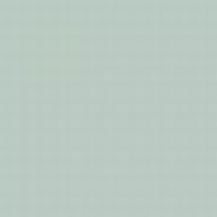 Light Blue N 10