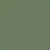 Aircaft Grey Green