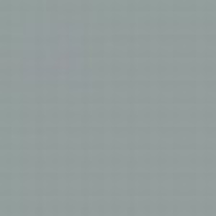 Light Grey ANA 602