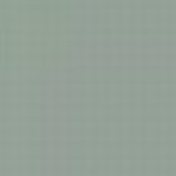 Light Grey RLM 76 / Hellgrau RLM 76