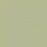 Light Yellow Green RLM 99 / Hellgelbgrun RLM 99