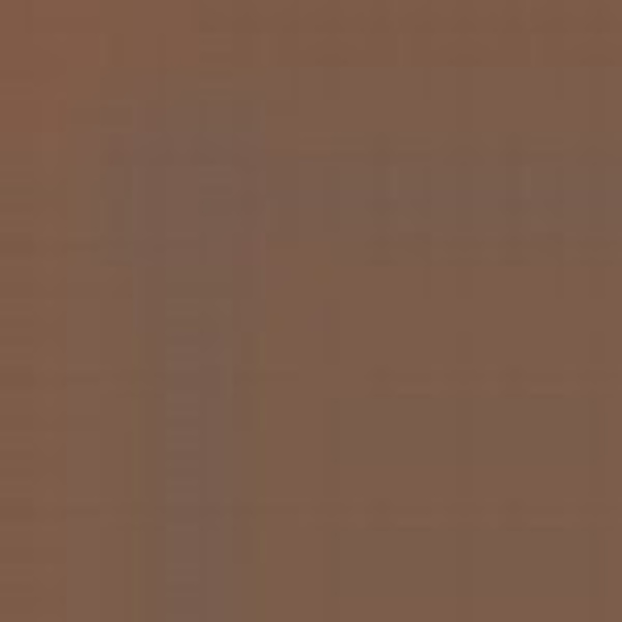 Brown RAL 8027