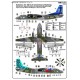 An-26 Curl Anniversary Marking - 1/72 decal