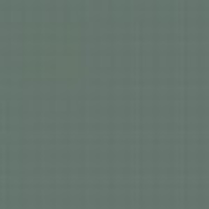 Blue Grey AMT 11
