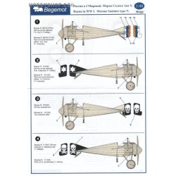 Morane Saulnier type N in WWI - 1/48 decals