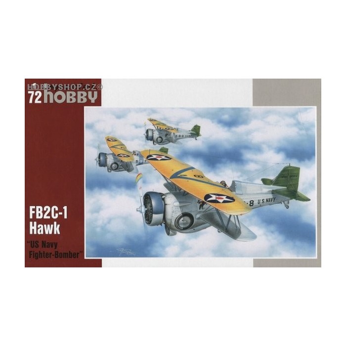 Curtiss BF2C-1 Hawk US Navy Fighter Bomber - 1/72 kit