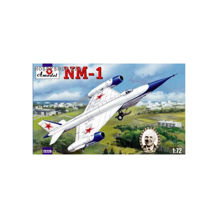 Tsybin NM-1 - 1/72 kit