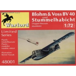 BV 40 & Stummelhabicht - 1/72 kit