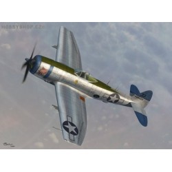 P-47N Thunderbolt - 1/72 kit